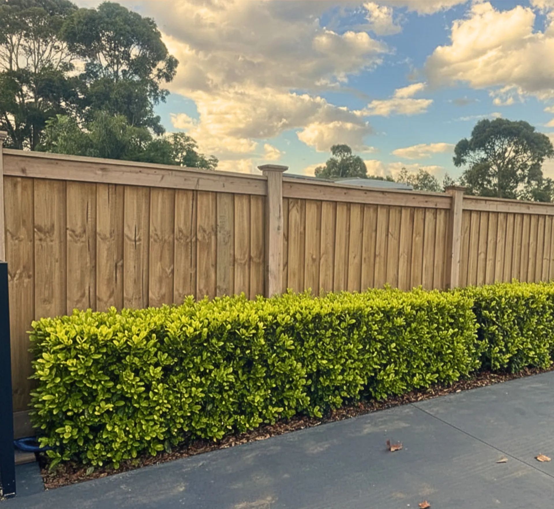 Fence & Landscape